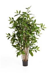 Dracaena dragonnier plante artificielle