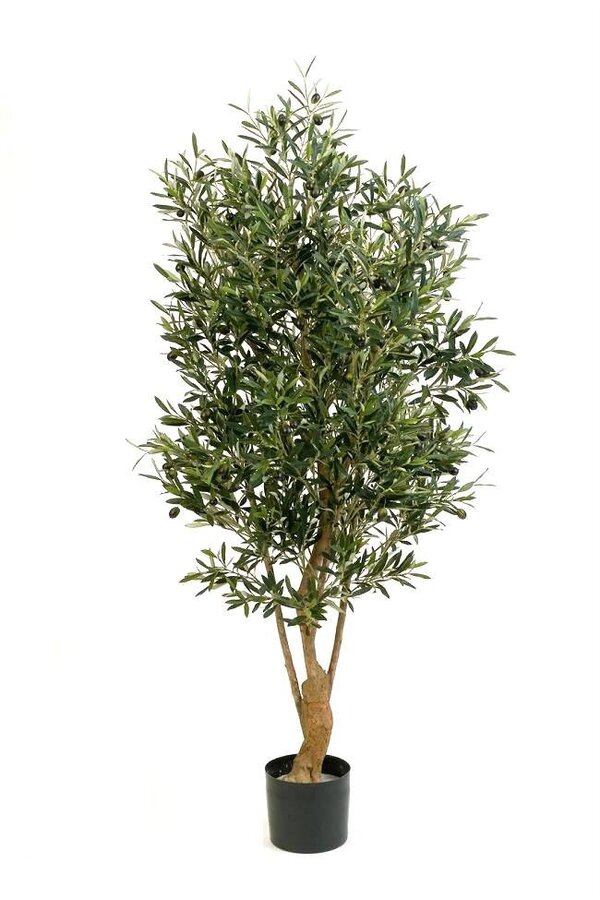 Olivier torsadé plante artificielle