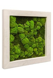 Plantenschilderij M