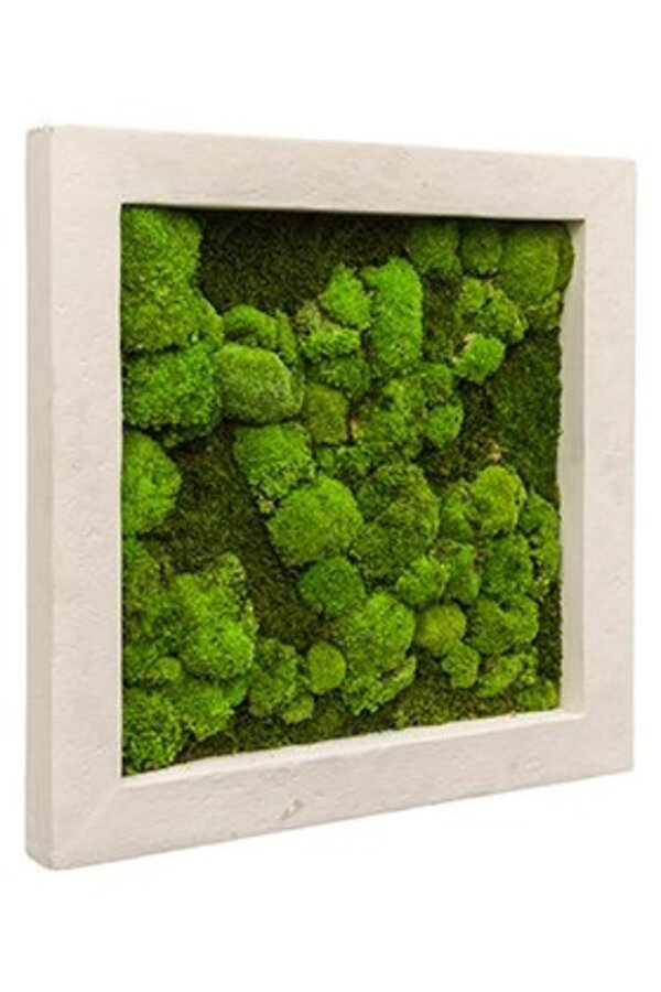 Plantenschilderij M