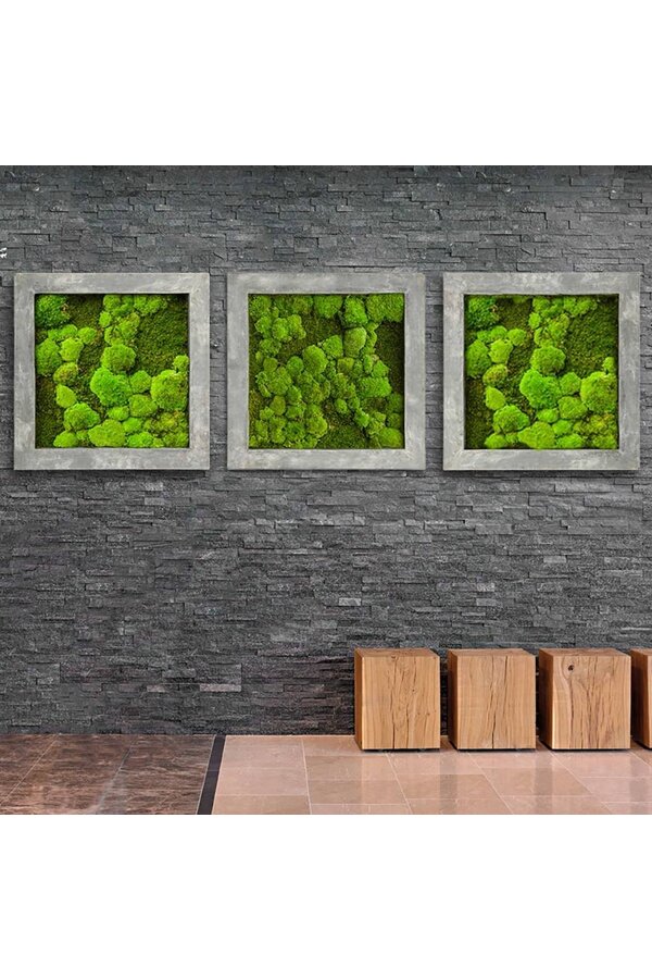 Plantenschilderij M