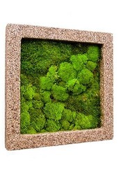 Plantenschilderij Naturecast M