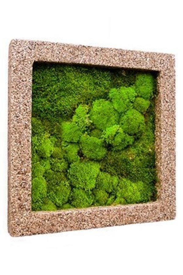 Plantenschilderij Naturecast M
