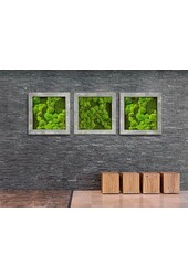 Plantenschilderij Naturecast M
