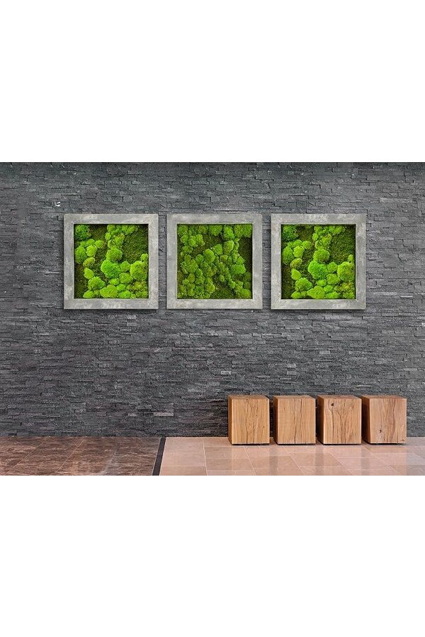 Plantenschilderij Naturecast M