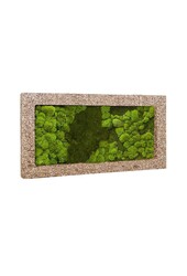 Plantenschilderij Naturecast L