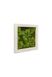 Tableau Végétal Natural M