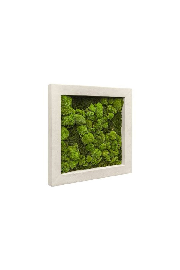 Tableau Végétal Natural M