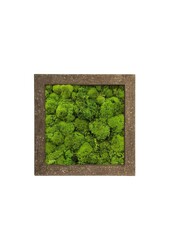 Tableau Vivant Rock M