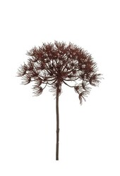 Plante artificielle Heracleum branche rouge