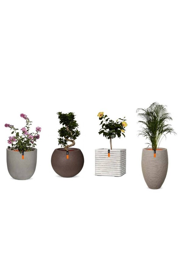 Vase élégant deluxe ivoire