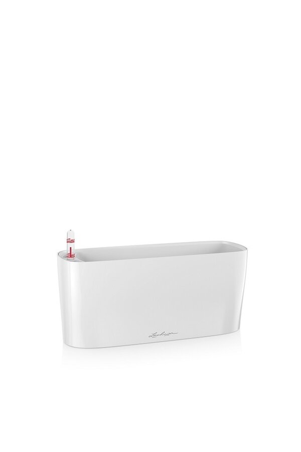 Delta Ovale Tout Inclus L