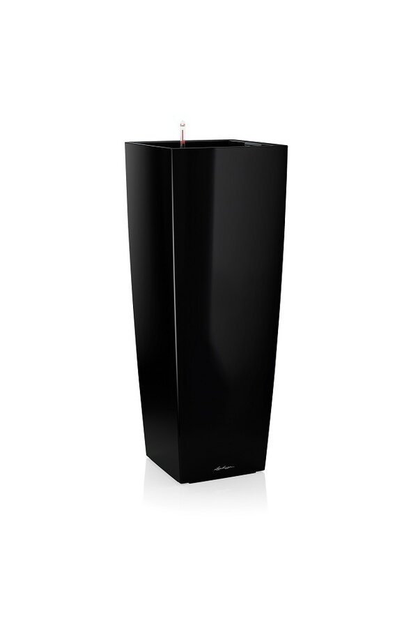 Kubus Alto Tout Inclus