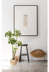 Plante artificielle Polyscias L