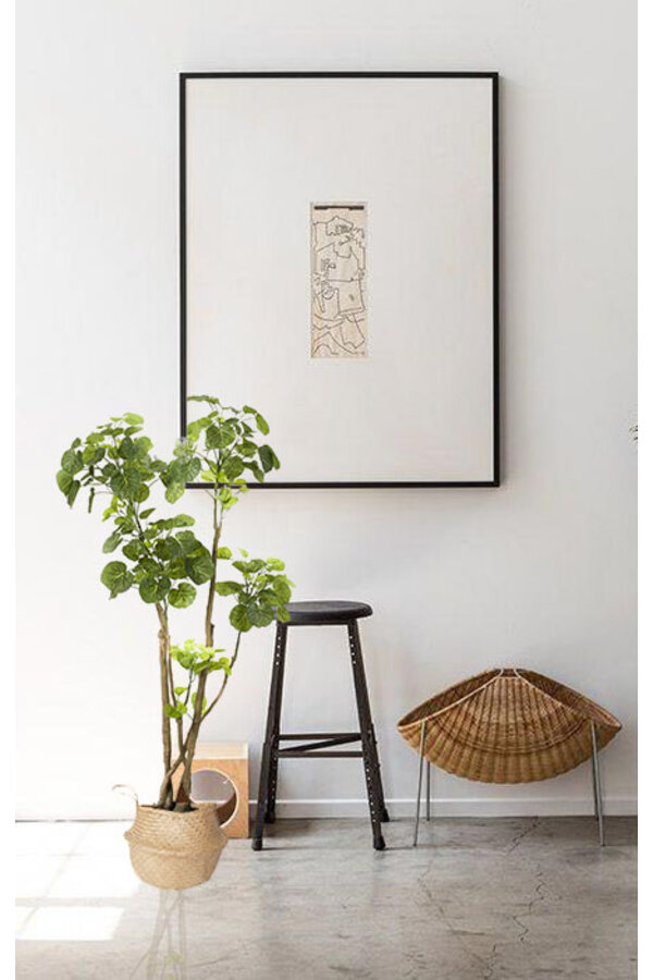 Plante artificielle Polyscias L