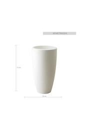 Boule de Buis Dans Pure Soft S