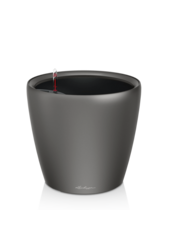 Classique Tout Compris XXL