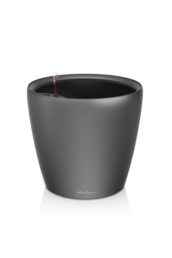 Classique Tout Compris XXL