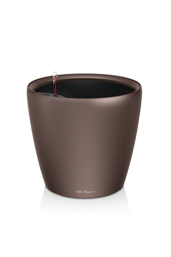 Classique Tout Compris XXL