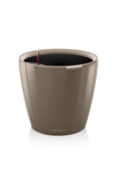 Classique Tout Compris XXL