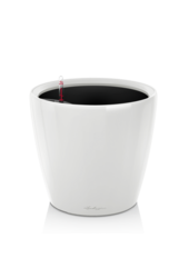 Classique Tout Compris XXL