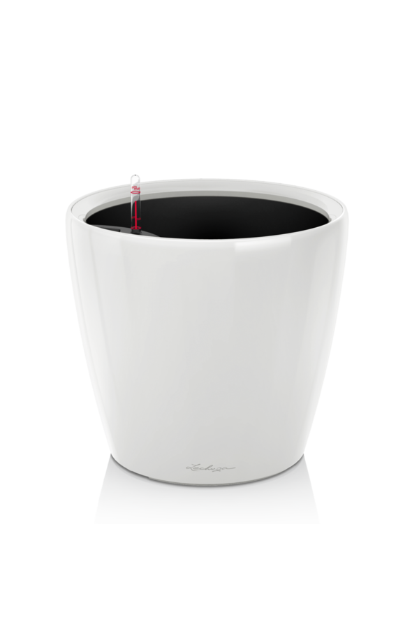 Classique Tout Compris XXL