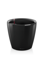 Classique Tout Compris XXL