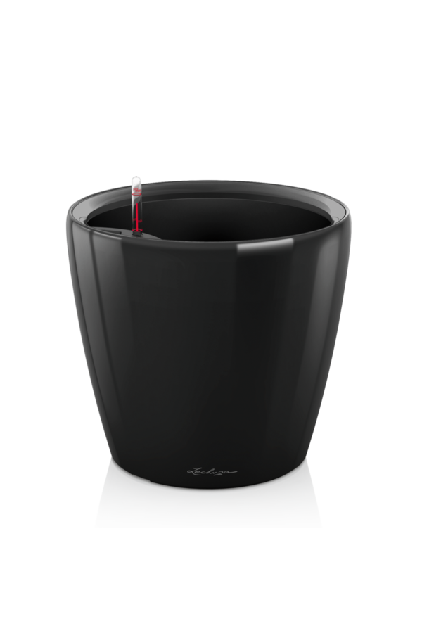 Classique Tout Compris XXL