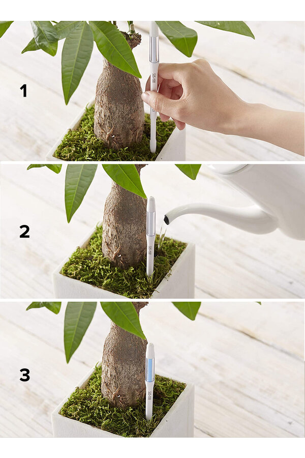 Compteur d'eau de luxe