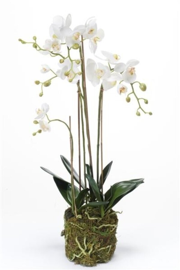 Orchidée blanche artificielle L
