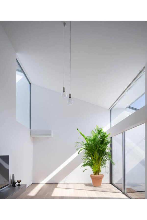 Palmier doré Aréca kingsize en Terre Cuite