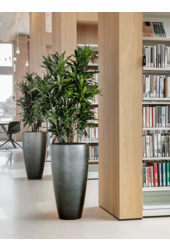 Messina Feuille d'argent haute M