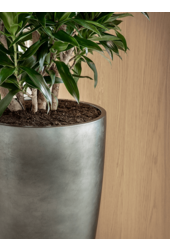 Messina Feuille d'argent haute M