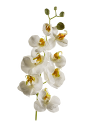 Phalaenopsis witte kunstbloem