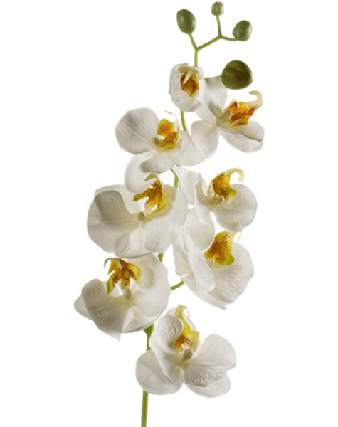 Kunstplant