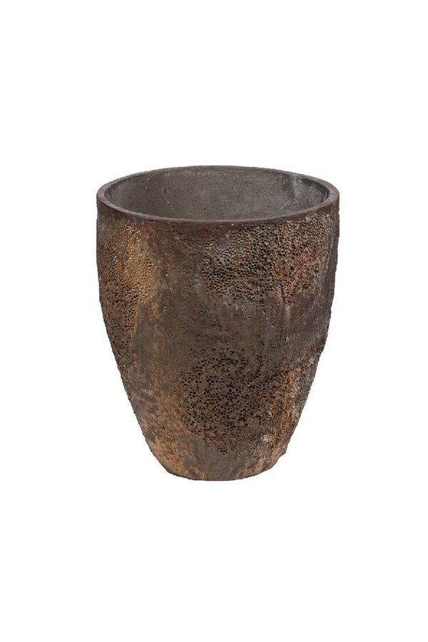 Strelitzia in Oester L Brown