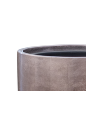 Palmier Kentia en pot Métallique Café