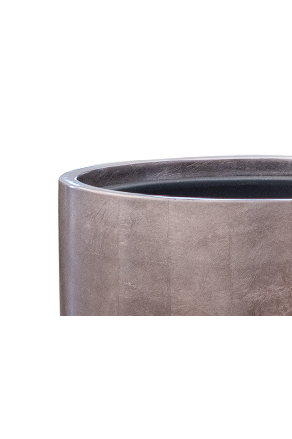 Palmier Kentia en pot Métallique Café