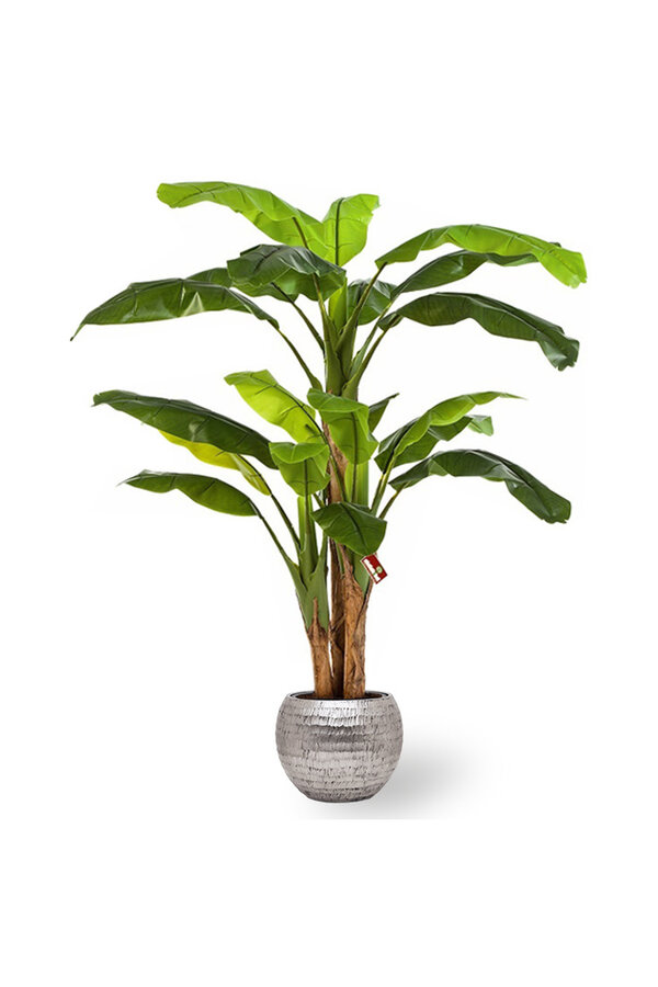 Kunstplant bananenboom in Gehamerd Zilver