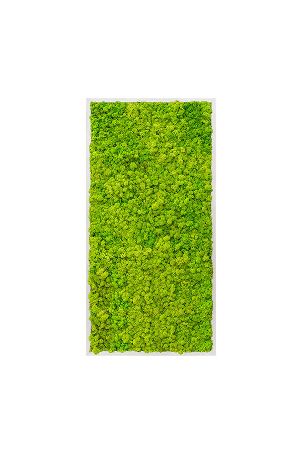 Plantenschilderij XL