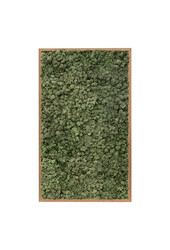 Plantenschilderij Houten frame XL