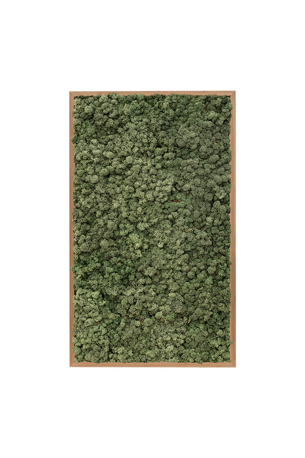 Plantenschilderij Houten frame XL