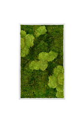 Plantenschilderij Wit frame XL