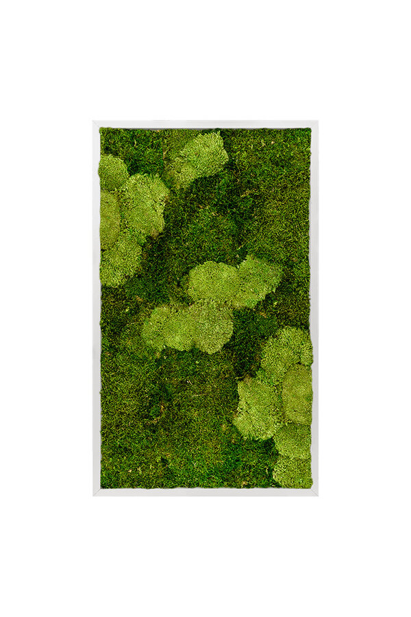 Plantenschilderij Wit frame XL