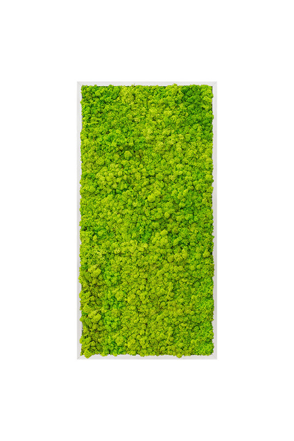 Plantenschilderij Wit frame XXL