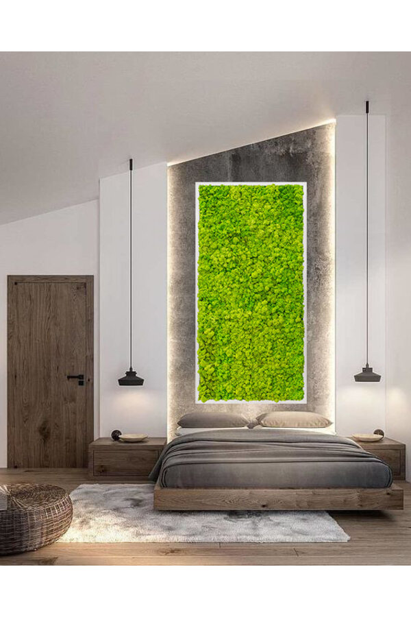 Plantenschilderij Wit frame XXL