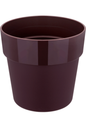 B. For Original Violet