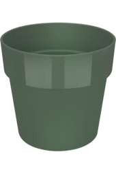 B. For Original Groen