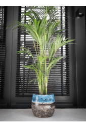 Pot Lindy Green Black