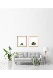Alocasia Zebrina in Vibes Fold Pot